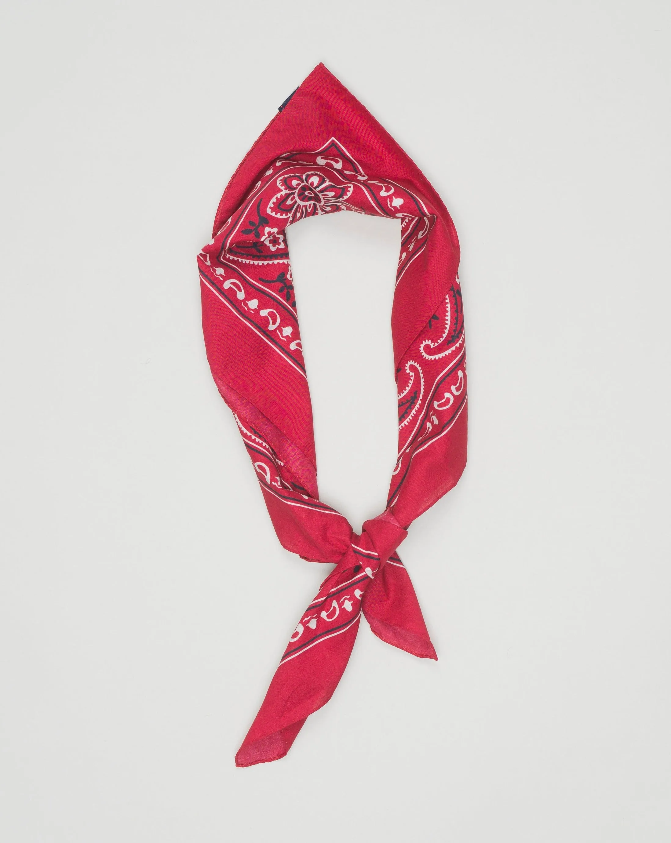 Drake's Cotton Paisley Bandana / Red